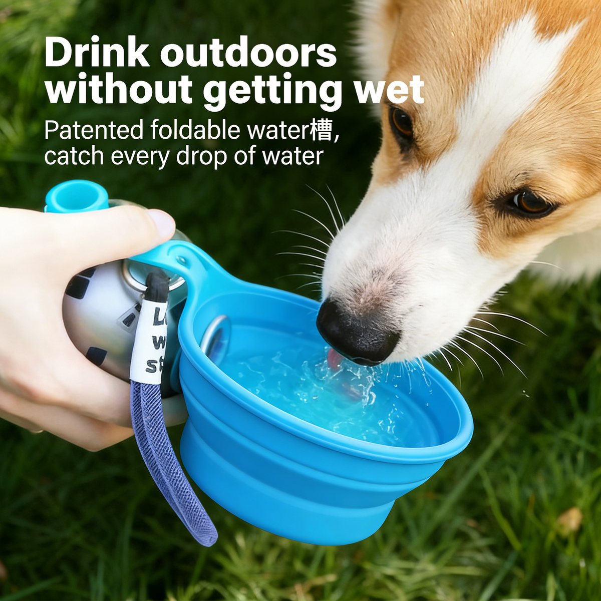 Pet Drinking & Feeding